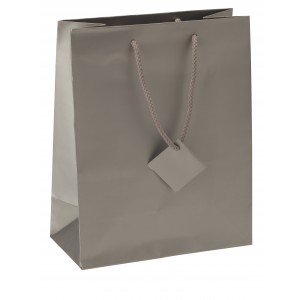 Satin-Finish Tote-Style Gift Bags in Silver Frost