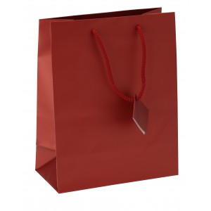 Satin-Finish Tote-Style Gift Bags in Brick Frost