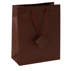 Satin-Finish Tote-Style Gift Bags in Chocolate Brown