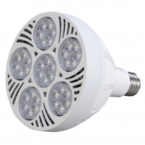 Braxon PAR38 LED Bulb (60W/25°)