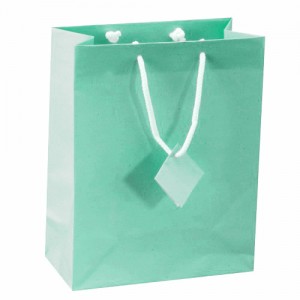 Satin-Finish Tote-Style Gift Bags in Eggshell Blue