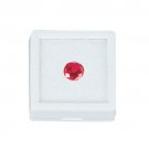 Glass-Top Square Gem Boxes w/Cotton Inserts in White, 1.5" L x 1.5" W