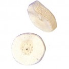 Miniature White Muslin Buff 1.25"