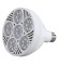 Braxon PAR38 LED Bulb (60W/25°)