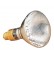 160 Watt Mercury Bulb