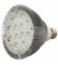 Braxon PAR38 LED Bulb (24W/30°)