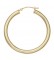 14k Yellow Hinged Hoop Earring 3.0mm Thickness
