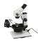 Optima Stereo Microscope on Stand