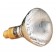 160 Watt Mercury Bulb